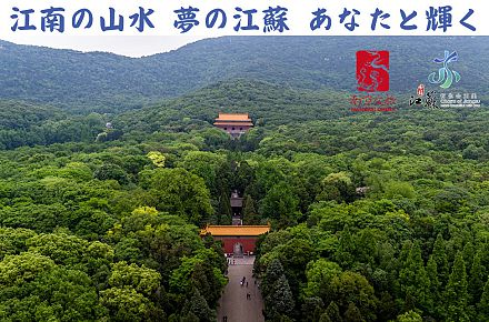 「六朝古都」の街南京へ!お気軽観光プラン